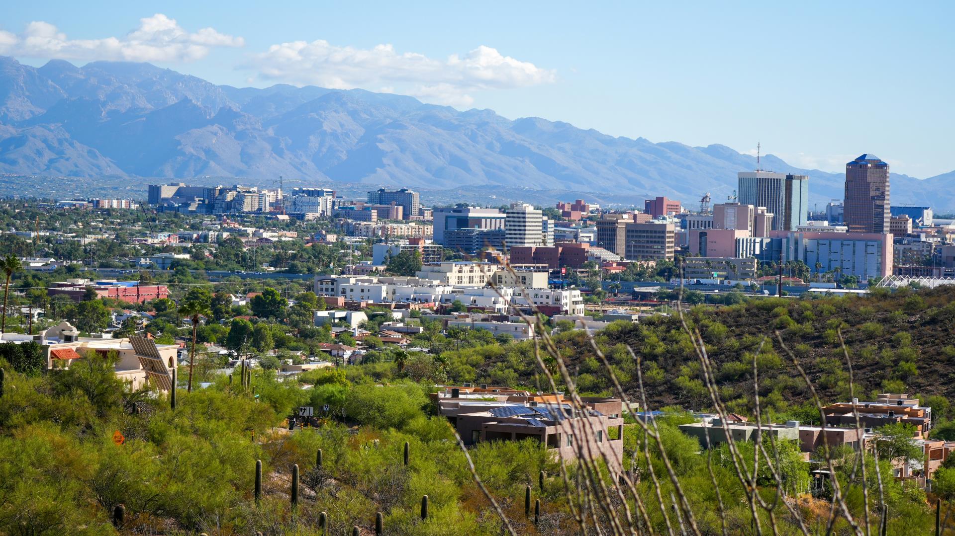 Image of the tucson skyline